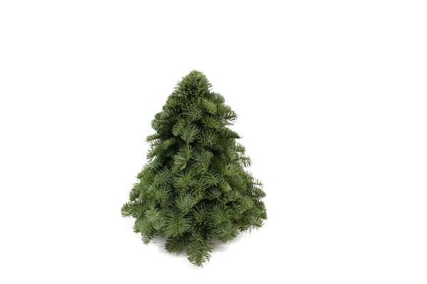 Nobilis-Weihnachtsbaum - ↕ab 30cm